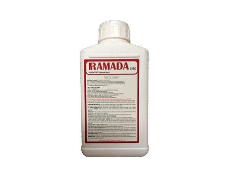 Ramada 5 EC