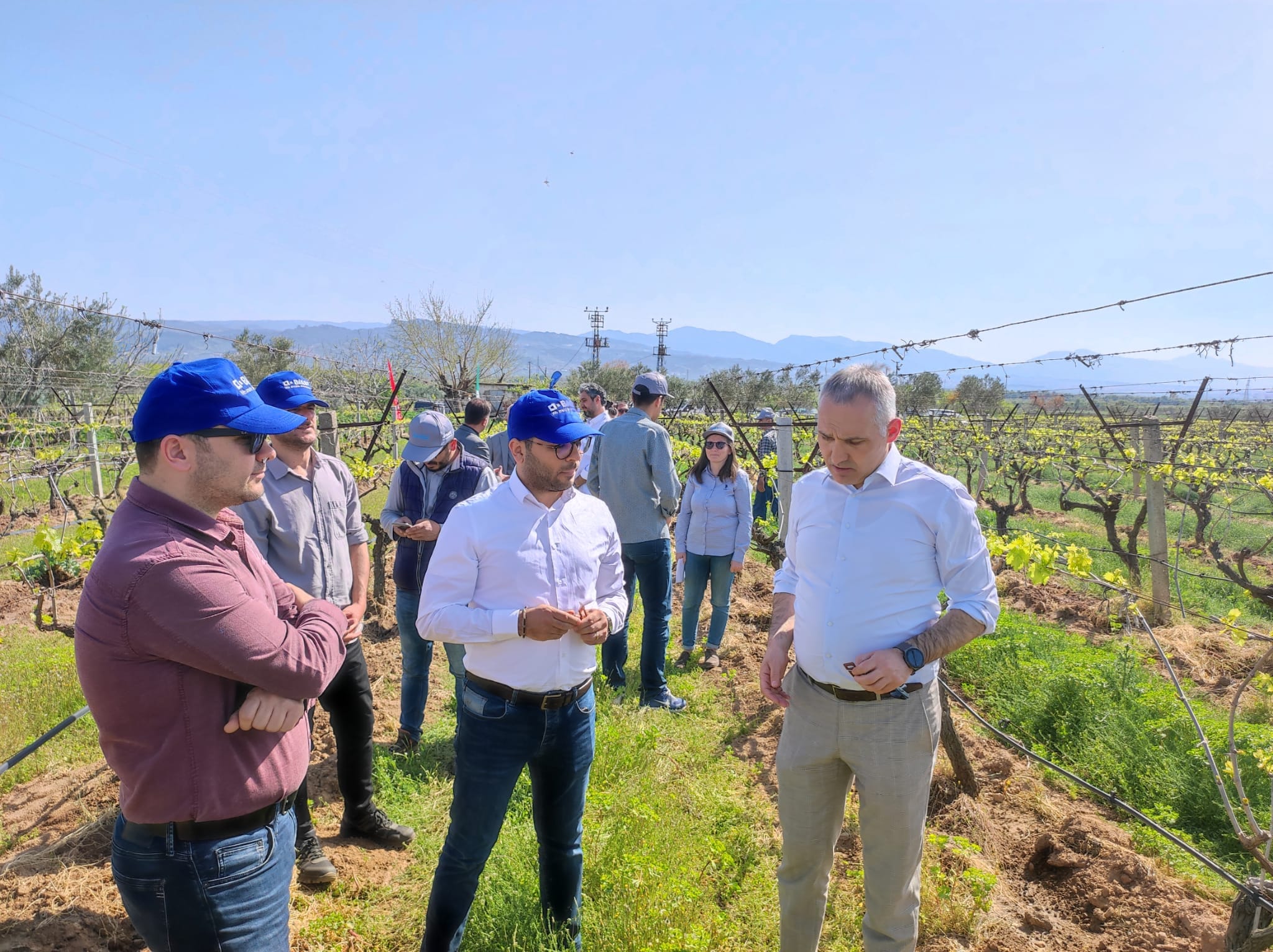 BASF Rak 2 Pro Tarla Günü Etkinliği