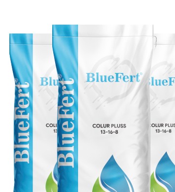 Color Pluss 13-16-8